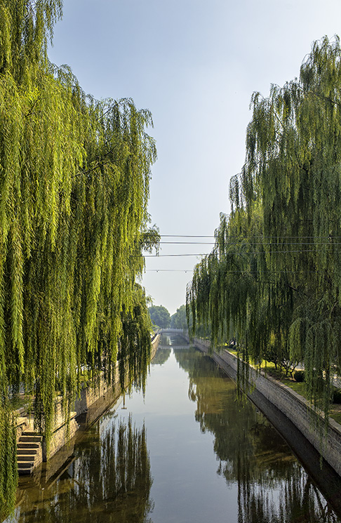 Willows and canal at Yuandadu Chengyuan Relics Park, Beijing, China.