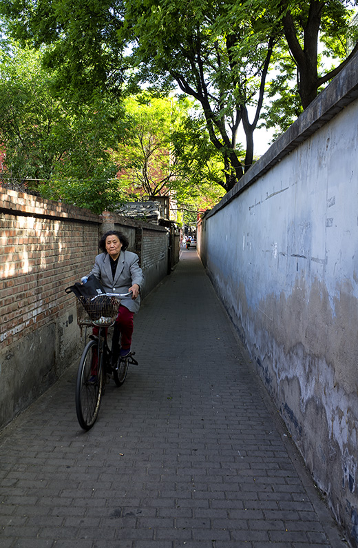 Chinese woman cycling along Beiyingfang Alley off Baiwanzhuang Street, Xicheng, Beijing, China.