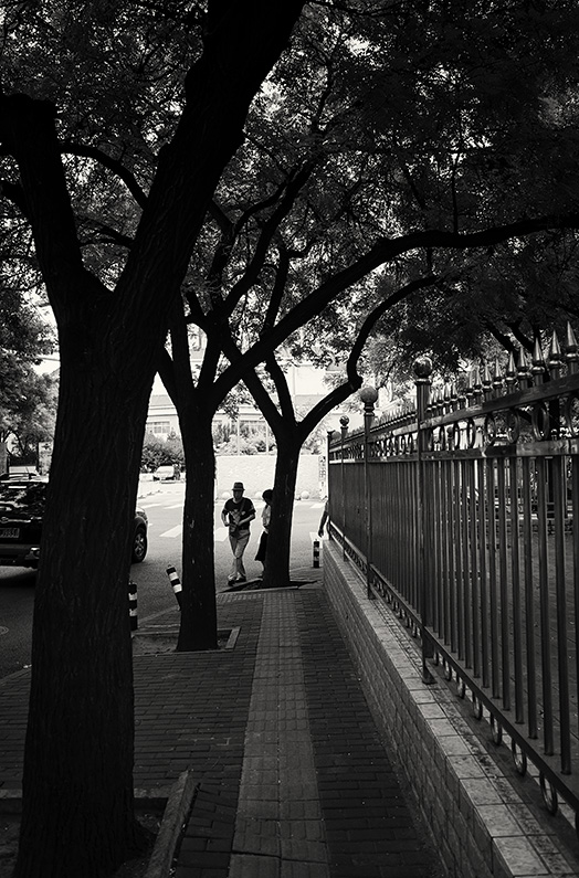 Chinese couple turn the corner into the tree-lined Beifengwo, Fengtai, Beijing, China.