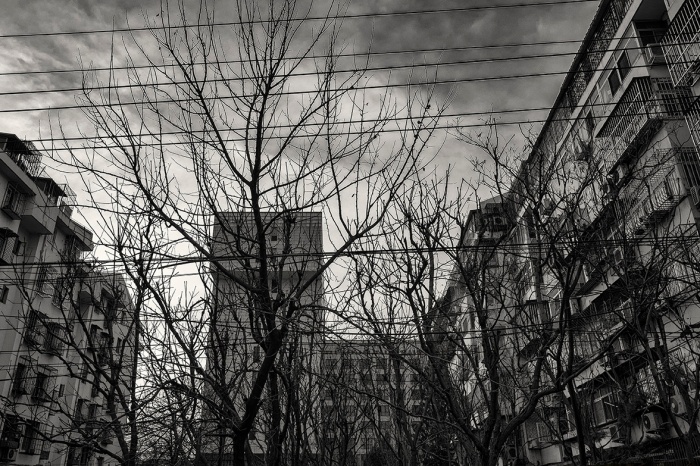 Utility wires and bare branches on Balizhuang Road, Haidian, Beijing, China.